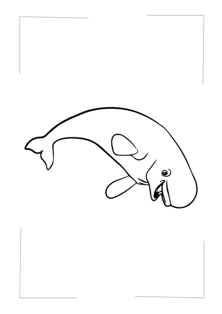 Livre de coloriage V5 (3).webp