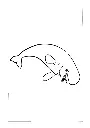 Livre de coloriage V5 (3).webp