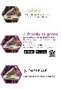 livre noel (1).webp